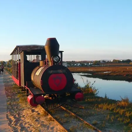 公寓 Seaside 423-a *