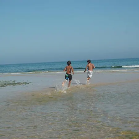 Seaside 423-a 公寓 *